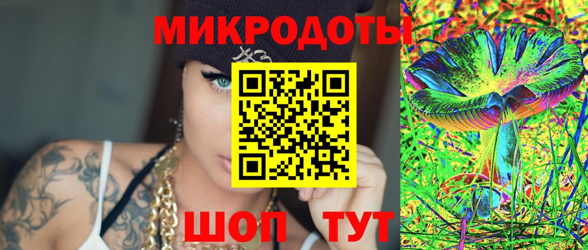 Псилоцибиновые грибы Psilocybine cubensis Дзержинский