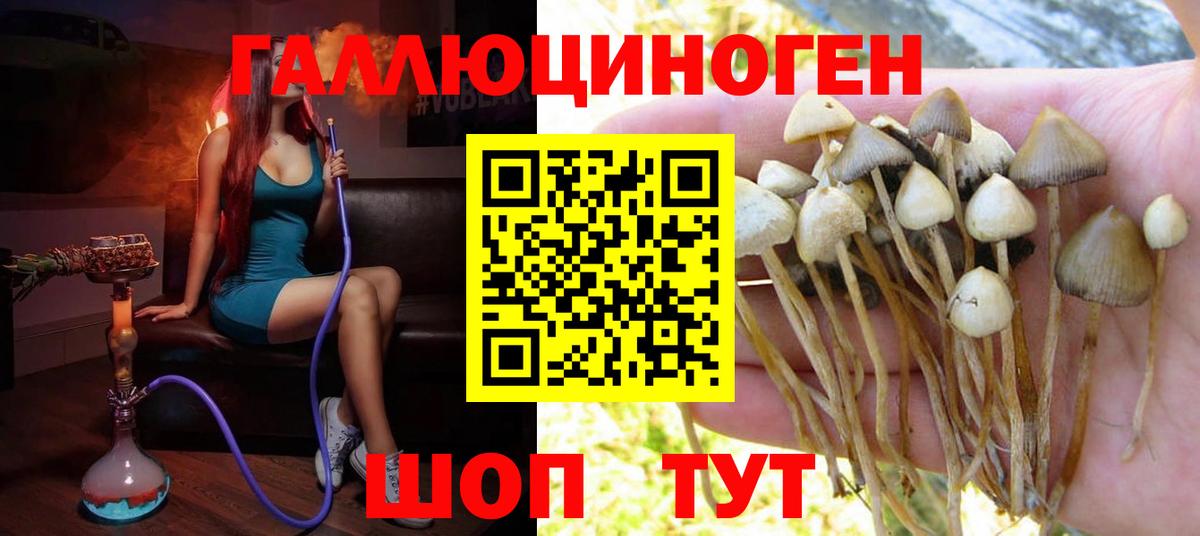 Дзержинский  Галлюциногенные грибы Magic Shrooms  даркнет сайт  Вход с VPN  Псилоцибиновые грибы мицелий 