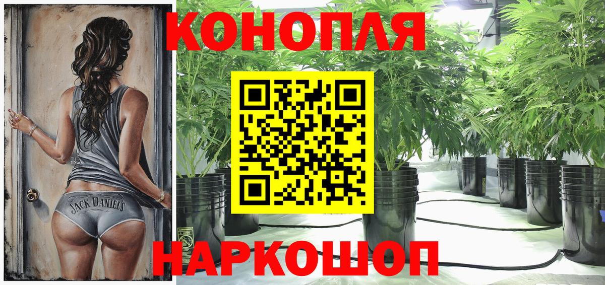 Бошки Шишки марихуана  Вход с VPN  Дзержинский  Бошки марихуана марихуана 